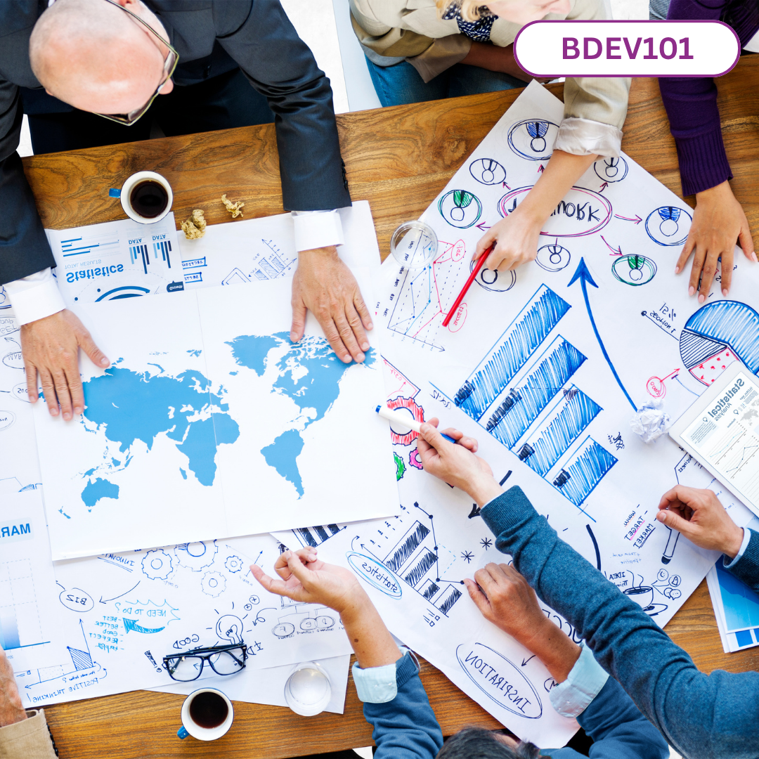 Business Development for Home Care & NDIS Providers: 13 October 2026, 1pm - 4pm AEDT (BDEV101)