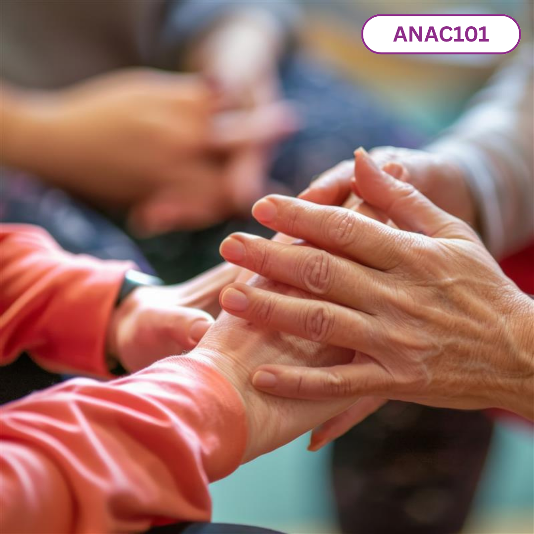 Australian National Aged Care Classifications (AN-ACC) Essentials: 2 December 2026, 1pm - 4pm AEDT (ANAC101)